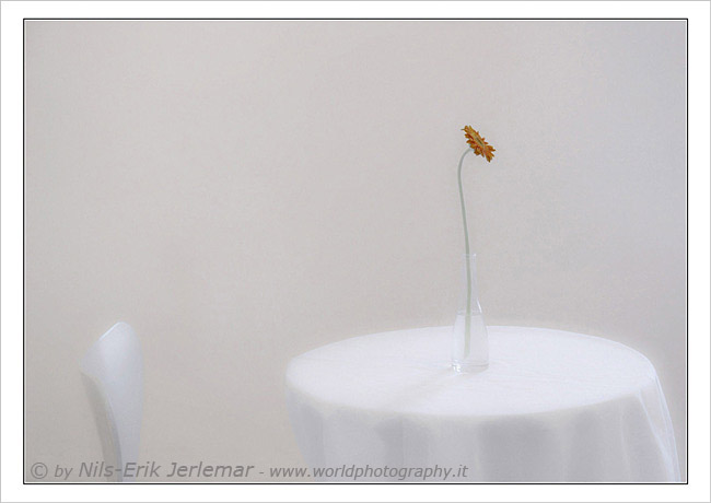 Flower on Table No 2